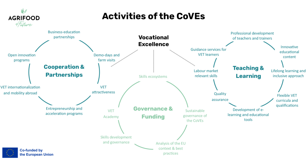 Activities of the CoVEs
